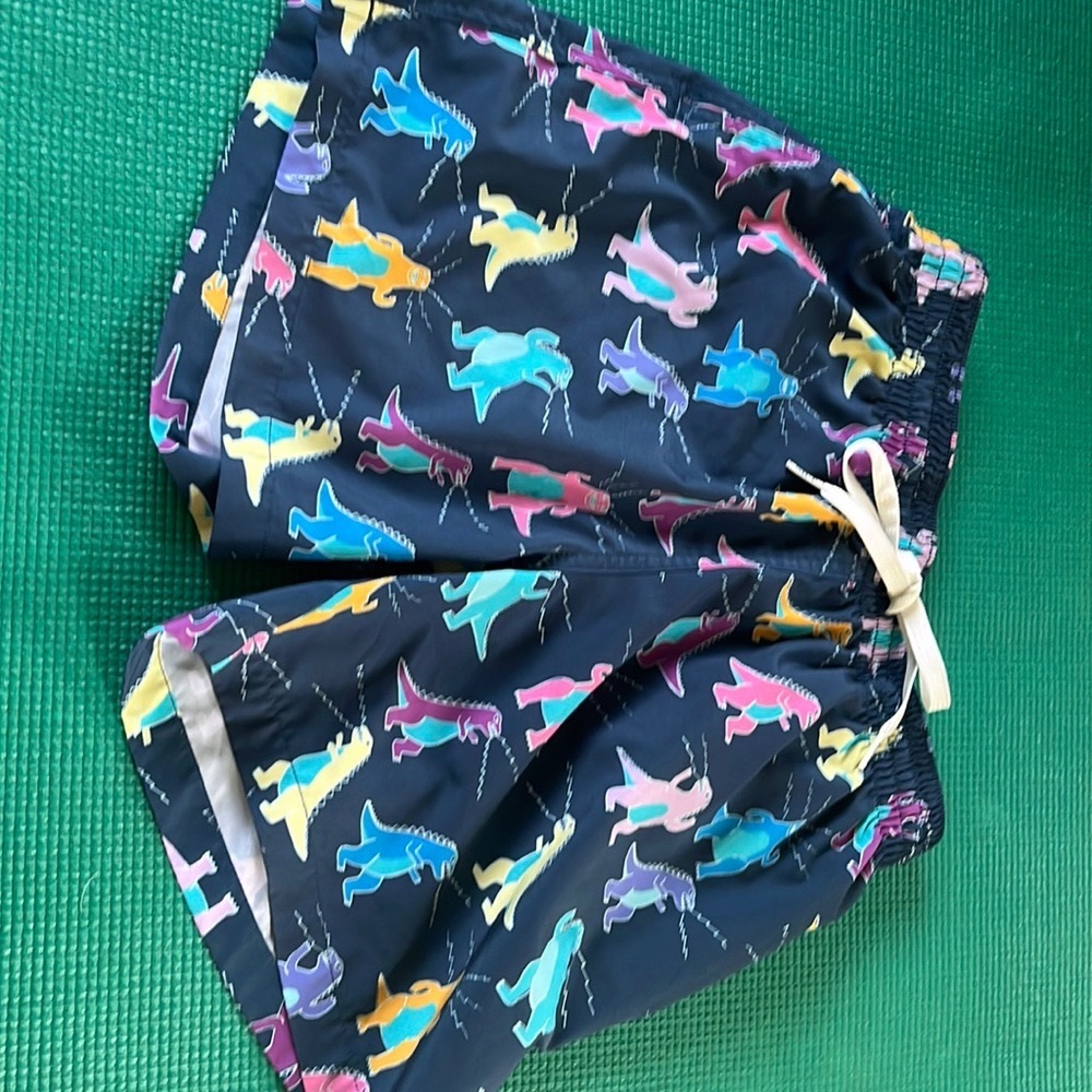 Chubbies men’s size small dinosaur swim trunks! Great shape